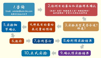 优宁维公司隆重推出专业抗体相关实验技术服务，赋能生命科学研究